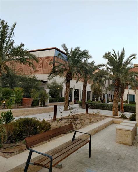 alcohol rehab qatar|Naufar .